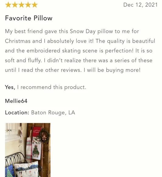 Anthropologie Snow Day Pillow - Picture 6 of 13